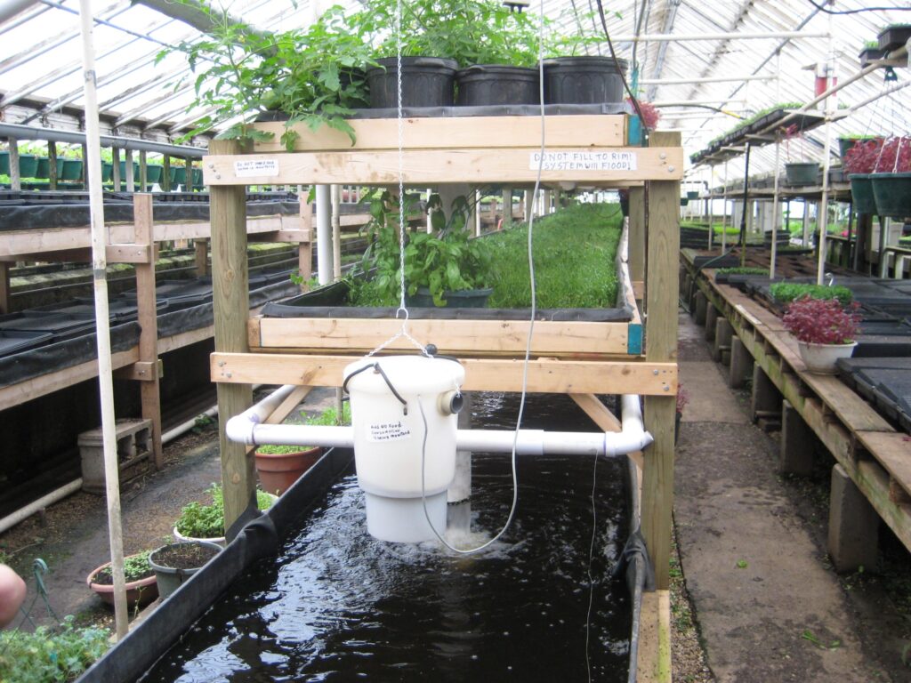 Aquaponics as a living system of ecological spirituality.