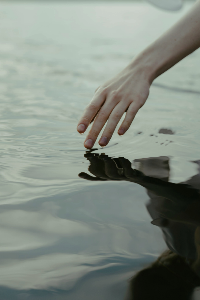 Hand touching Water - The Bloom