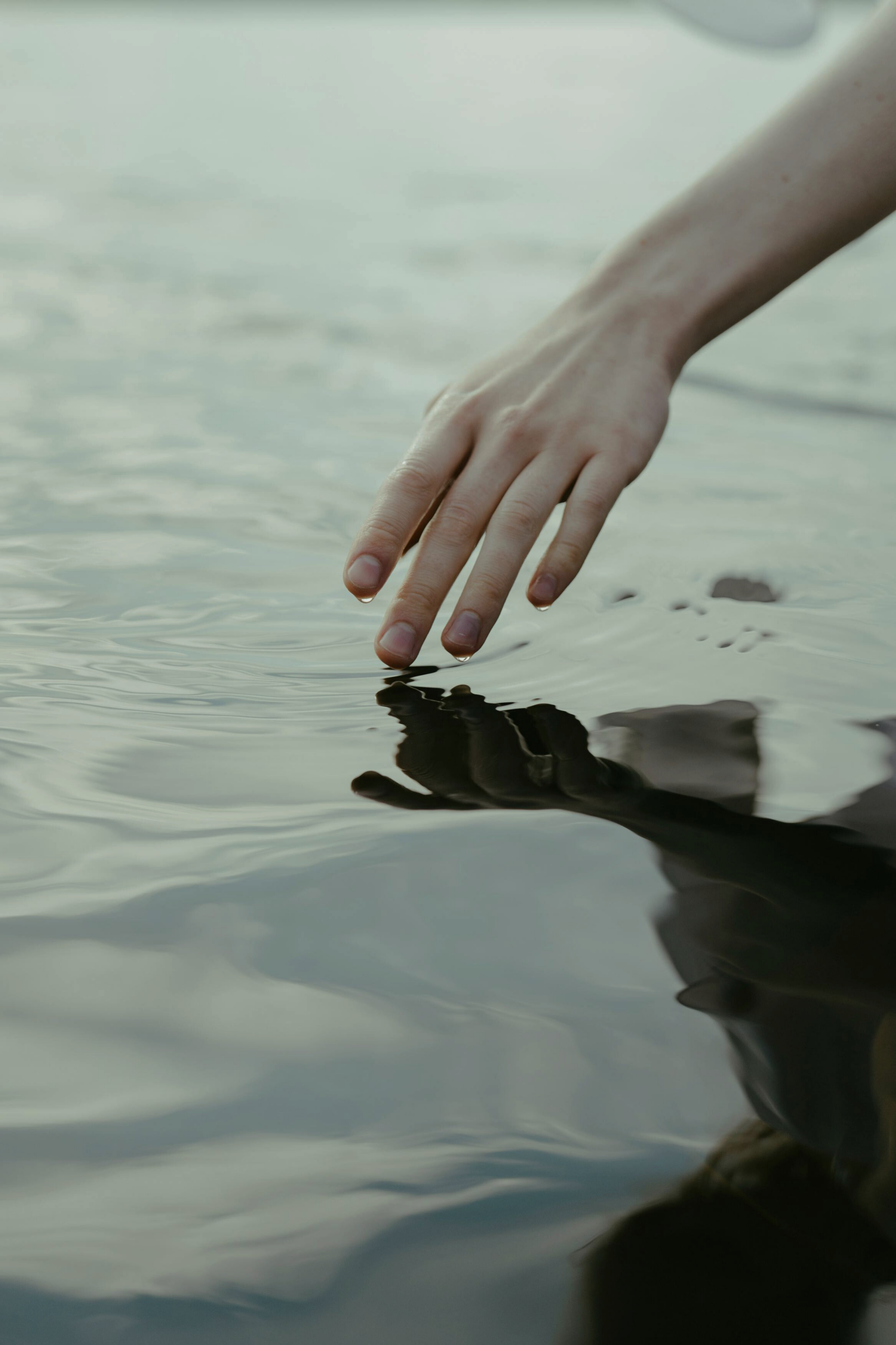 Hand touching Water - The Bloom
